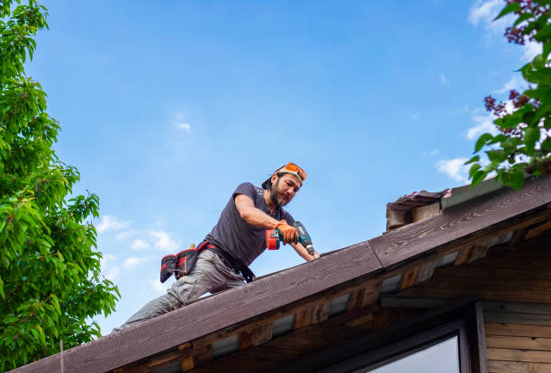 Best Roof Insulation Installation  in Trenton, IL