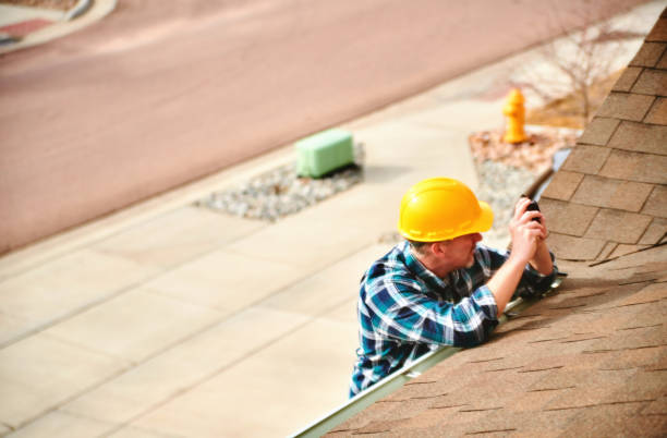 Best Sheet Metal Roofing  in Trenton, IL
