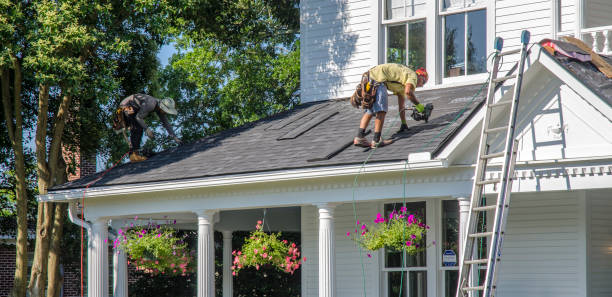 Best Chimney Flashing Repair  in Trenton, IL